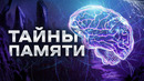 СЕКРЕТЫ ПАМЯТИ – ЧТО СКРЫВАЕТ НАШ МОЗГ? Уникальные случаи жизни без мозга. Люди, не умеющие забывать