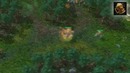 Drunken Master – HoN Hero Spotlight