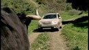 Subaru показала, как можно любить автомобили