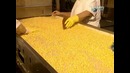Discovery: Как это работает? S01E10 (How it’s made?)