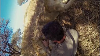 Заклинатель зверей (GoPro- Lions – The New Endangered Species)