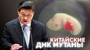 ДНК мутанты из Китая