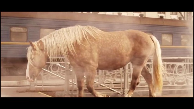 Динама – ожидание