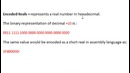 Assembly Language Programming Tutorial – 4 – Real Number Constants