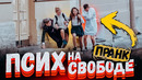 ПСИХ НА СВОБОДЕ пранк / Реакция на психа в публичном месте / Вджобыватели подстава