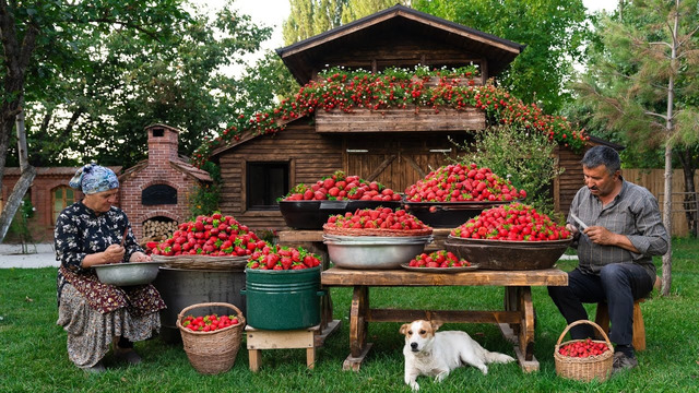 From Field to Oven: Picking, Drying, and Baking Strawberries