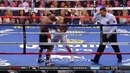 Бокс. Флойд Мейвезер мл.- Маркос Майдана. Бой за титул чемпиона WBC|WBA (04.05.2014)