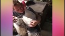 Милые животные – Эти обнимашки поднимут Вам настроение на весь день