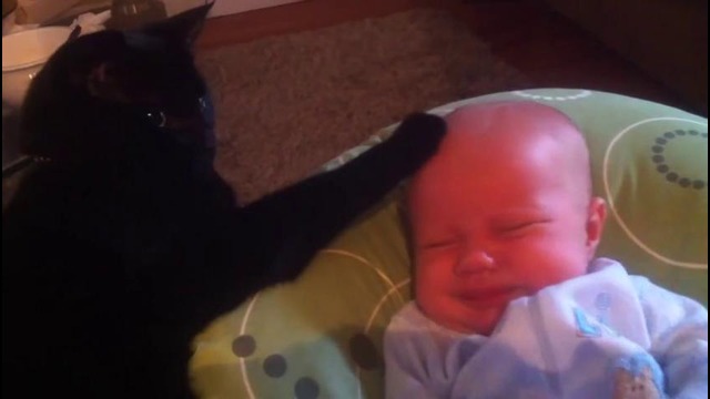 Cat soothing crying baby to sleep – too cute