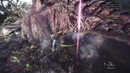 Monster Hunter World #11 – Вершина пищевой цепочки