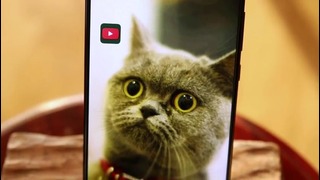 Xiaomi Mi Mix- полный РАЗГРОМ смартфона будущего. Красиво, но не практично