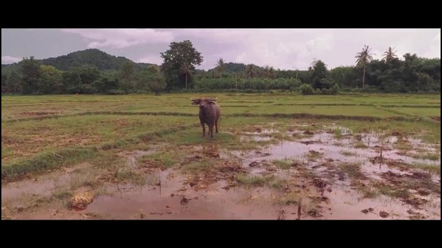 Видеотур на квадрокоптере по острову Кох-Яо-Ной