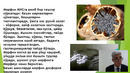 Unit 4 Наркотик анальгетиклар