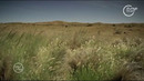 Patagoniyaning yovvoyi tabiati Wild Patagonia
