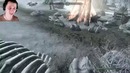 Skyrim – Секрет самого сильного питомца в Скайриме