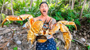 GIANT COCONUT CRAB – In Search of the Biggest Crab in the World