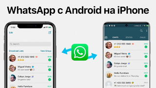 Как перенести WhatsApp с Android на iPhone