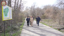HASHAR BOTANIKA ROLIK