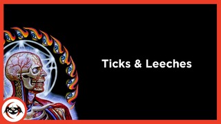 Tool – Ticks and Leeches