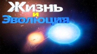 Двойные звезды. Жизнь и эволюция