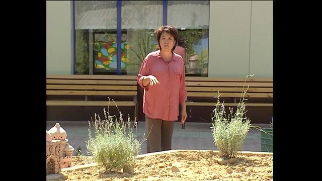 Домашний сад на канале ОЙЛАВИЙ УзТВ 24.10.14