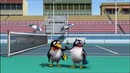 Bernard-02.01.16 Tennis (Теннис)