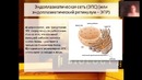 Биология, Цитология – Органоиды Клетки