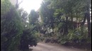 Япония- Японский онсен. Где мыть себя в Японии