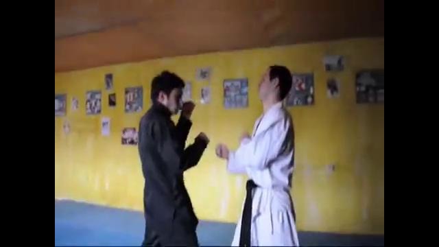 Jeet Kune Do – Vladimir Iashvili – video 2011