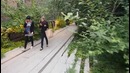 Жизнь в Нью-Йорке, как отдыхают американцы. High-line Park, парк на мосту