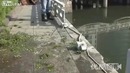 Езда задним ходом по-китайски