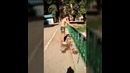 Летниее каникулы в ташкенте паркур