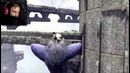 ((PewDiePie))HOLY SHET! – The Last Guardian #6