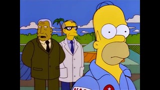 The Simpsons 5 сезон 15 серия («Гомер в глубоком космосе»)