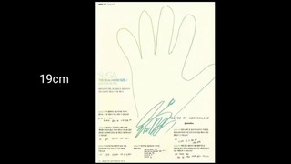 BTS Hands Size