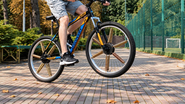 Spring Bike in Autumn