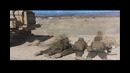 Первый боевой iRobot