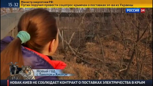 Тигр Амур и козел Тимур. Чудесная дружба