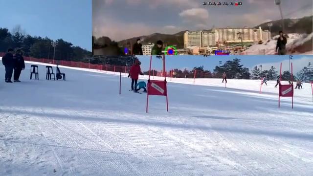 Skiing robot in Pyeong Chang 2018