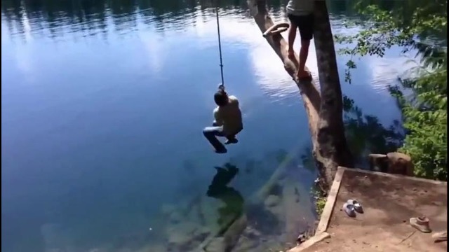 Лучшие приколы за ноябрь