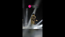 Shohruhxon – Salom sevgi / 2023-yilgi konsert #Shohruhxon