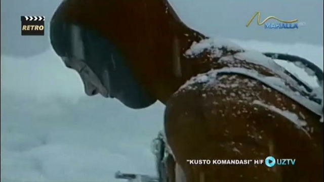 Kusto Komandasi 29-Qism