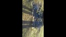 Классно порыбачили