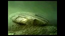 Балтийская аномалия на дне моря