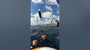 7 WILD Action Cam Fails