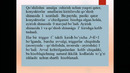 13 – маъруза