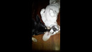 Dog Licks Inside Dogs Mouth #shorts