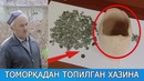 Vodillik otaxon o‘z tomorqasidan XAZINA topib oldi