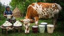 Making Fresh Village Cheese | A Simple Farmhouse Lunch