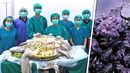 Врачи ОПЕШИЛИ обнаружив ЭТО внутри данной черепахи